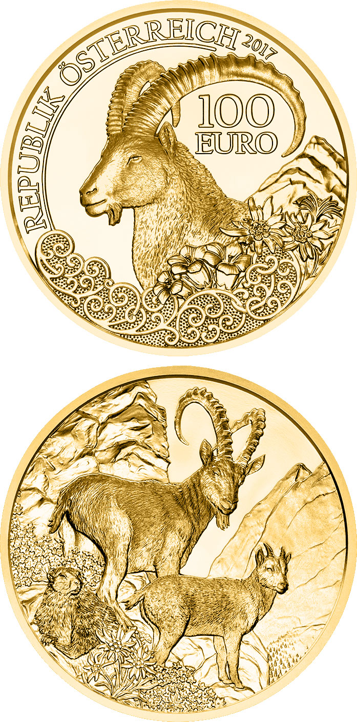 Image of 100 euro coin - The Alpine Ibex | Austria 2017.  The Gold coin is of Proof quality.