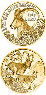 100 euro coin The Alpine Ibex | Austria 2017