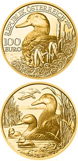 100 euro coin The Mallard | Austria 2018