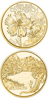 50 euro coin Wild Waters | Austria 2022
