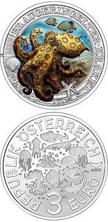 3 euro coin Blue-ringed octopus | Austria 2022