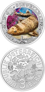 3 euro coin Swell Shark | Austria 2023