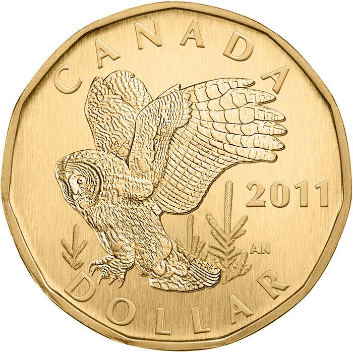 Image of 1 dollar coin - Great Grey Owl | Canada 2011.  The Nickel, bronze plating coin is of BU quality.