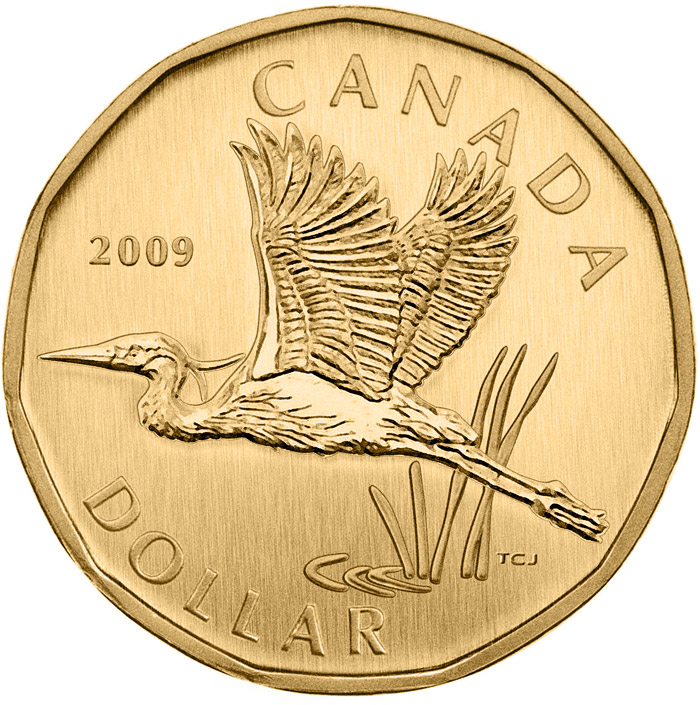 Image of 1 dollar coin - Great Blue Heron | Canada 2009.  The Nickel, bronze plating coin is of BU quality.
