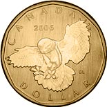 1 dollar coin Snowy Owl | Canada 2006