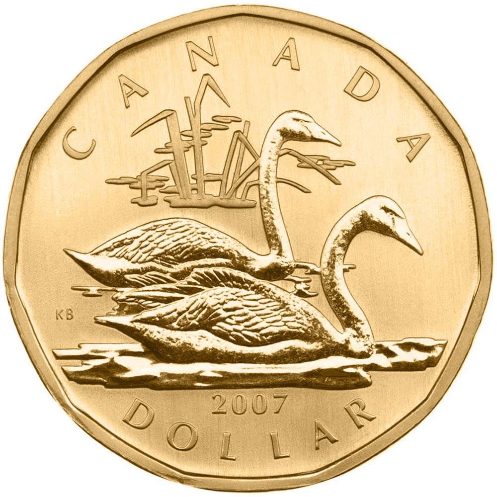 Image of 1 dollar coin - Trumpeter Swan | Canada 2007.  The Nickel, bronze plating coin is of BU quality.