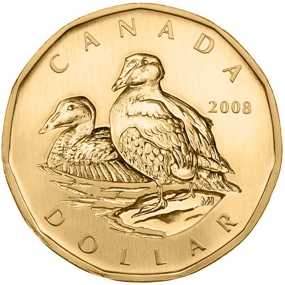 Image of 1 dollar coin - Common Eider | Canada 2008.  The Nickel, bronze plating coin is of BU quality.
