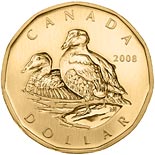 1 dollar coin Common Eider | Canada 2008