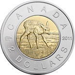 2 dollar coin Elk Calf | Canada 2011