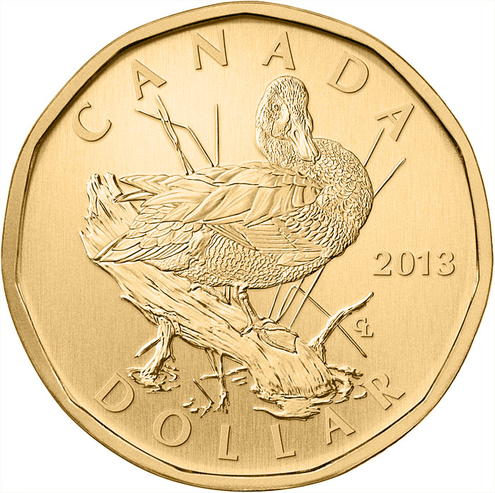 Image of 1 dollar coin - 5th Anniversary of Ducks Unlimited Canada - Blue-winged Teal | Canada 2013