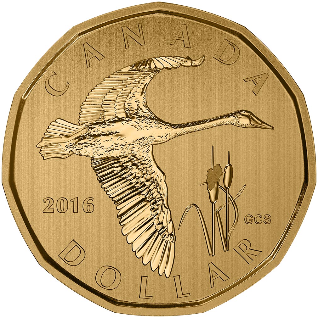 Image of 1 dollar coin - Tundra Swan | Canada 2016