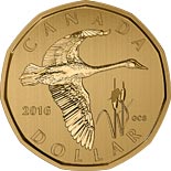 1 dollar coin Tundra Swan | Canada 2016