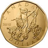 1 dollar coin Blue Jay | Canada 2015