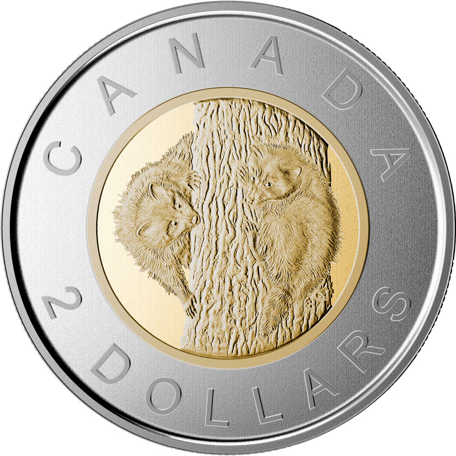 Image of 2 dollars coin - Baby Raccoons | Canada 2015