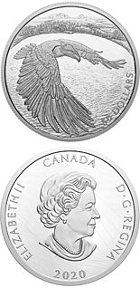 50 dollar coin Courageous Bald Eagle | Canada 2020