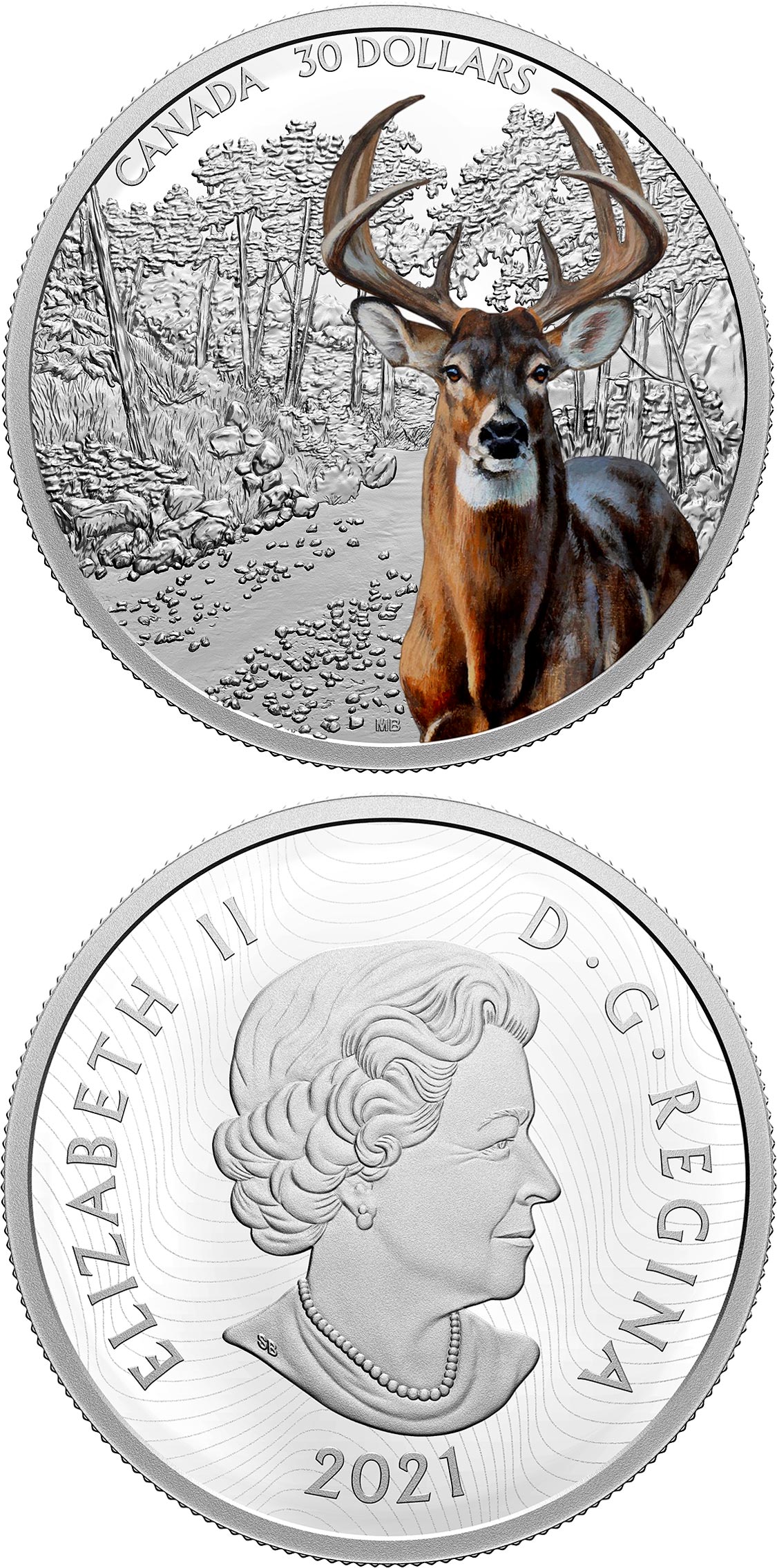 Image of 30 dollars coin - White-Tailed Deer | Canada 2021.  The Silver coin is of Proof quality.