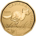 1 dollar coin Swift Fox | Canada 2022
