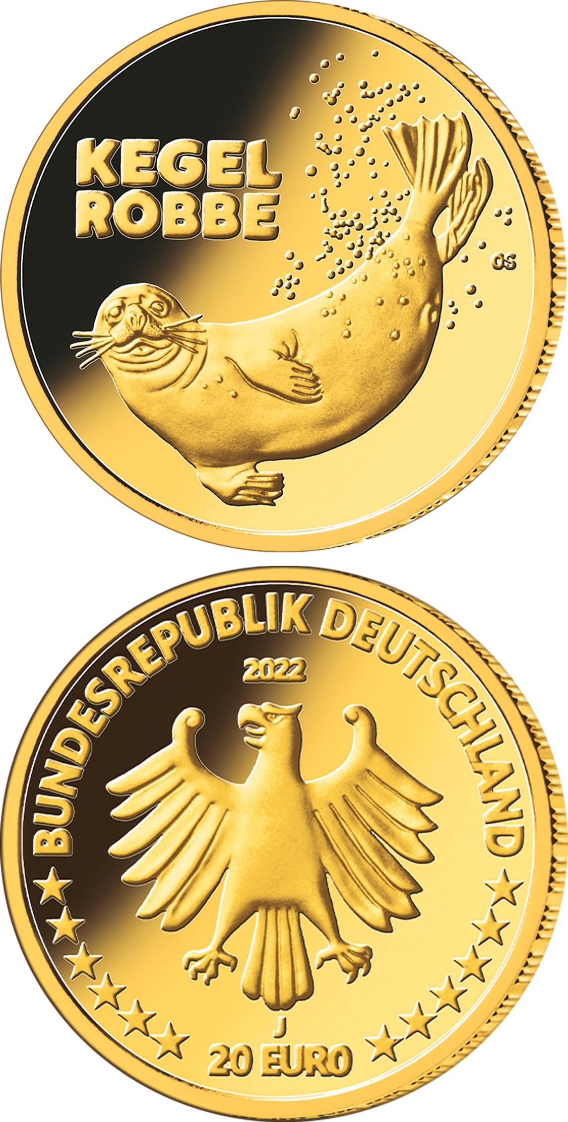 Image of 20 euro coin - Grey seal | Germany 2022.  The Gold coin is of Proof quality.