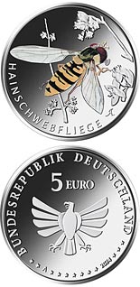 5 euro coin Grove hoverfly | Germany 2024