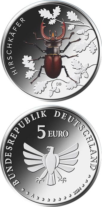 Image of 5 euro coin - Stag beetle | Germany 2024.  The Bimetal: CuNi, nordic gold coin is of Proof, BU quality.