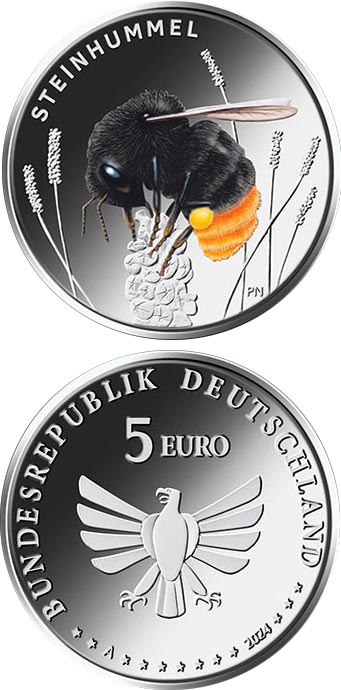 Image of 5 euro coin - Stone bumblebee  | Germany 2024.  The Bimetal: CuNi, nordic gold coin is of Proof, BU quality.