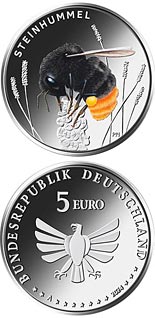 5 euro coin Stone bumblebee  | Germany 2024