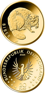 20 euro coin Beaver | Germany 2024