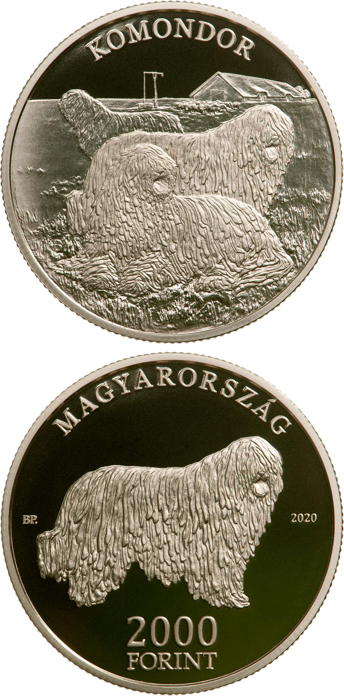 Image of 2000 forint coin - The Komondor | Hungary 2020.  The Brass coin is of proof-like quality.