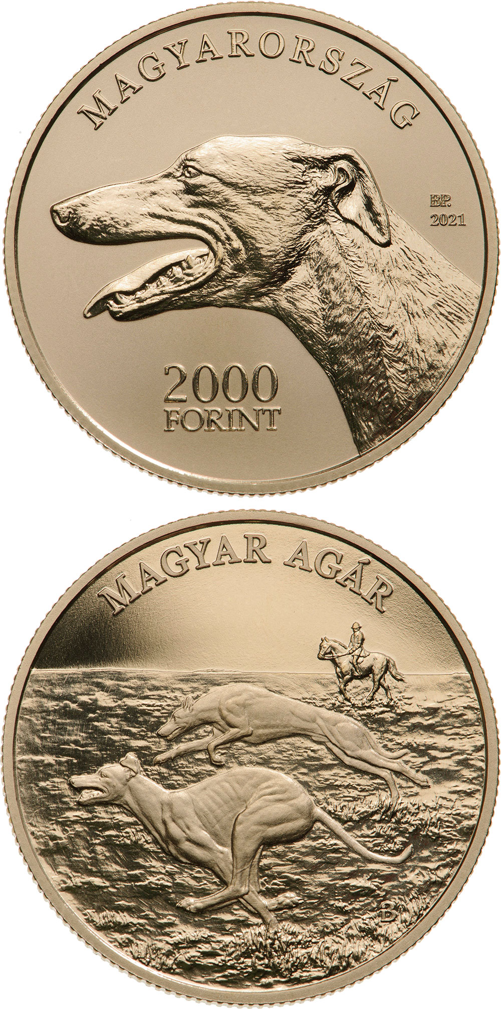 Image of 2000 forint coin - Hungarian gazehound | Hungary 2021.  The Brass coin is of proof-like quality.