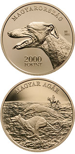 2000 forint coin Hungarian gazehound | Hungary 2021