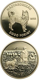 2000 forint coin Mudi | Hungary 2022