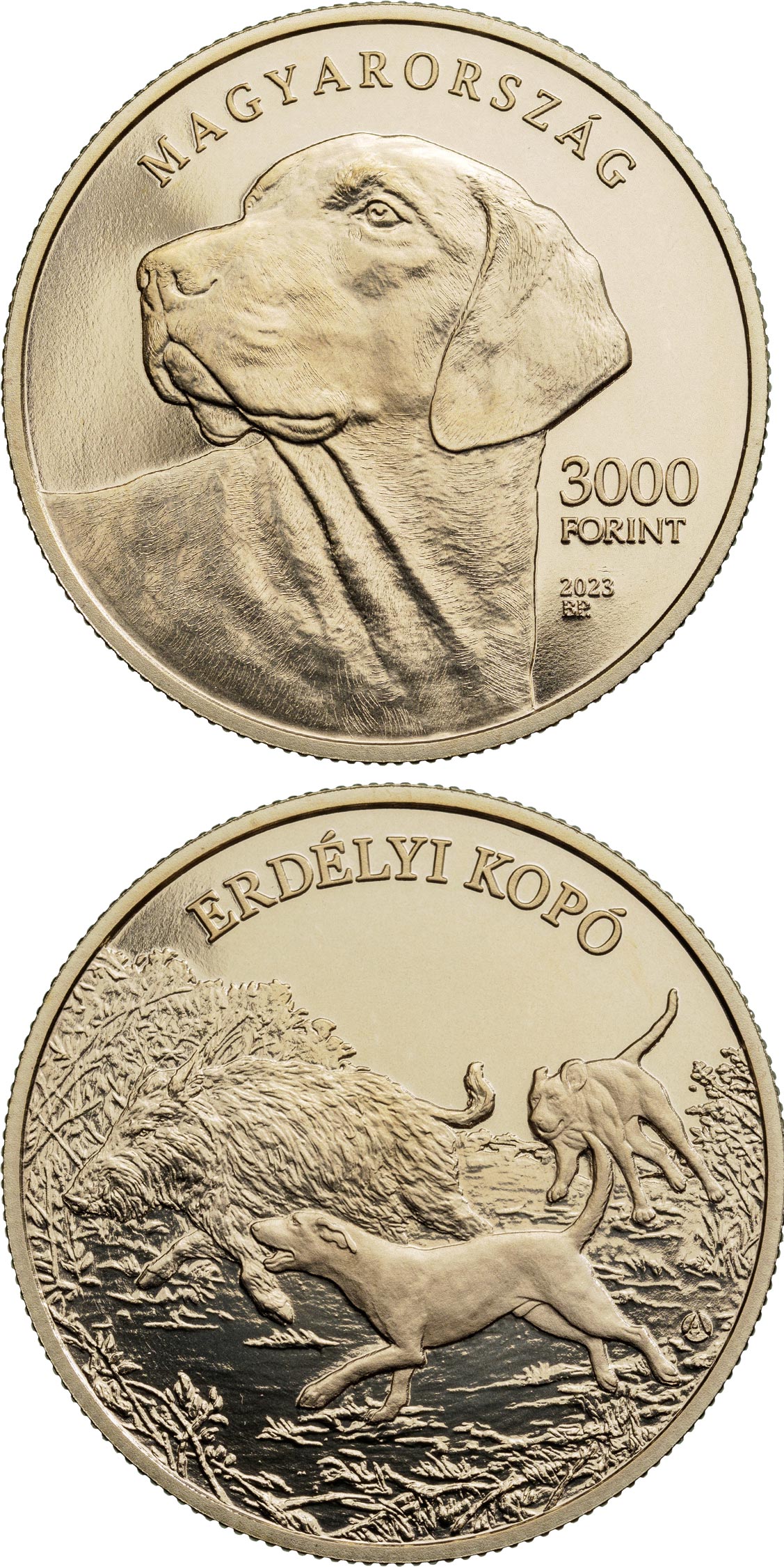 Image of 2000 forint coin - Transylvanian Hound | Hungary 2023.  The Brass coin is of proof-like quality.