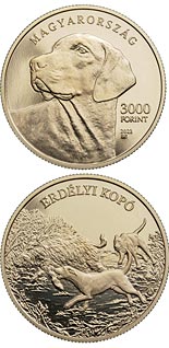 2000 forint coin Transylvanian Hound | Hungary 2023