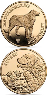 3000 forint coin Kuvasz | Hungary 2025