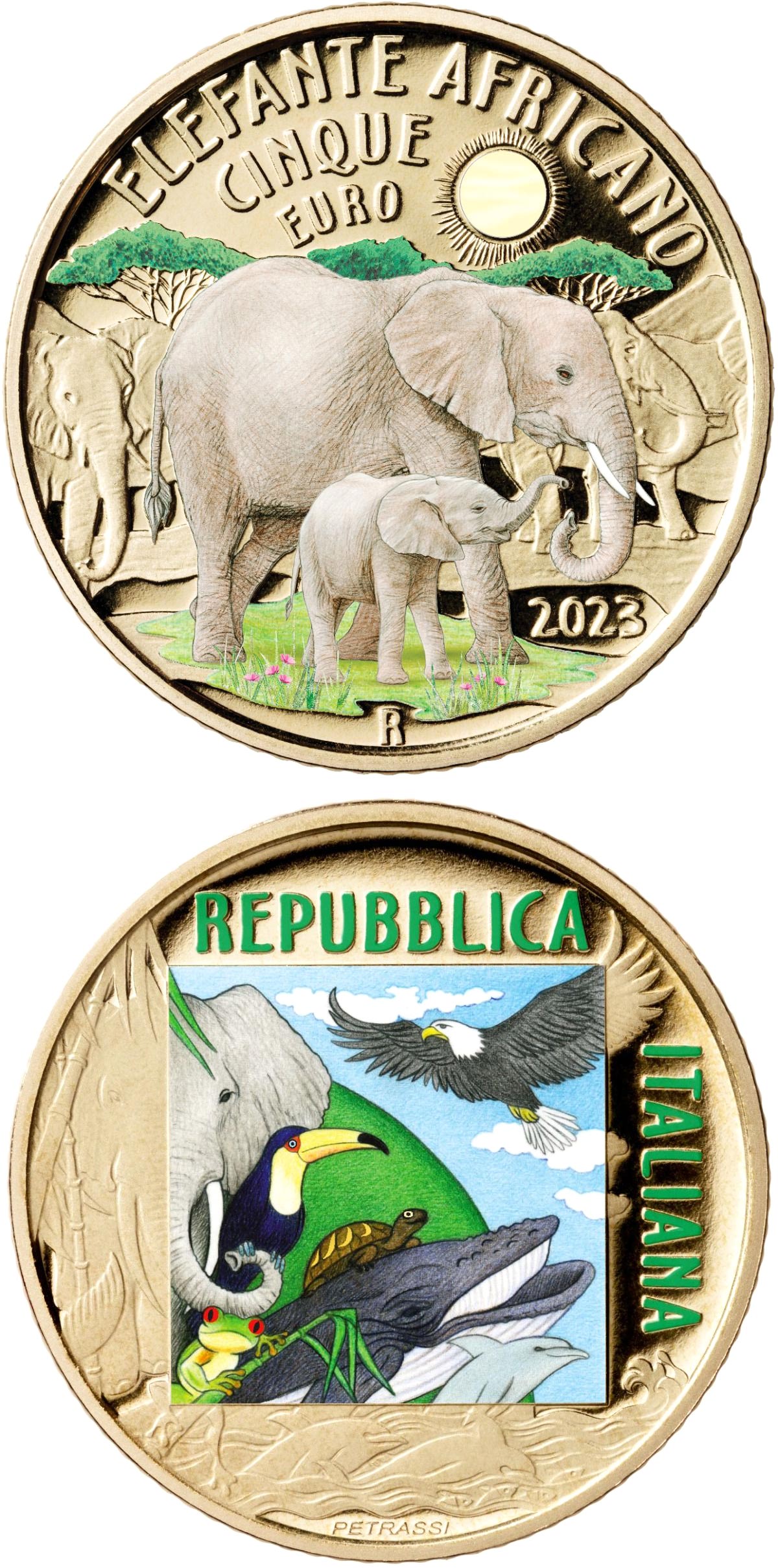 Image of 5 euro coin - African Elephant | Italy 2023.  The Bronze coin is of Proof quality.