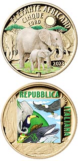 5 euro coin African Elephant | Italy 2023