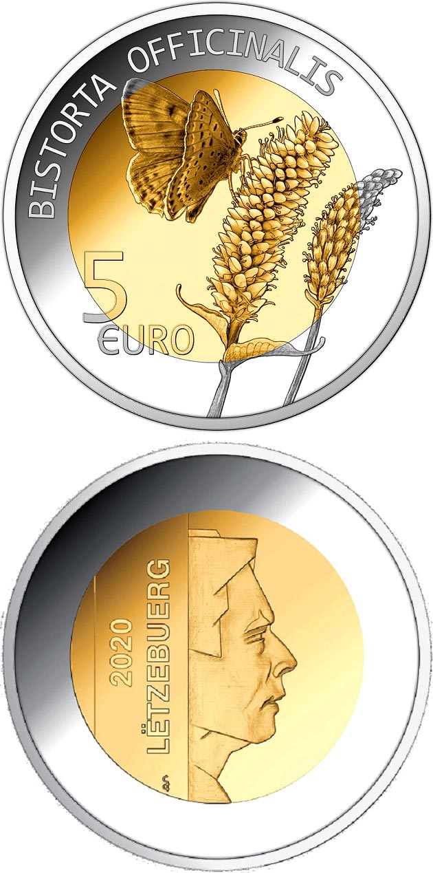 Image of 5 euro coin - Bistorta officinalis | Luxembourg 2020.  The Bimetal: silver, nordic gold coin is of Proof quality.