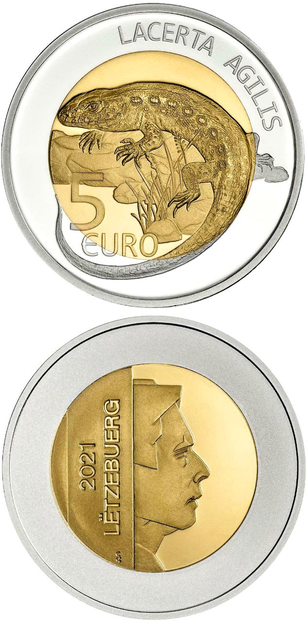 Image of 5 euro coin - Sand lizard | Luxembourg 2021.  The Bimetal: silver, nordic gold coin is of Proof quality.