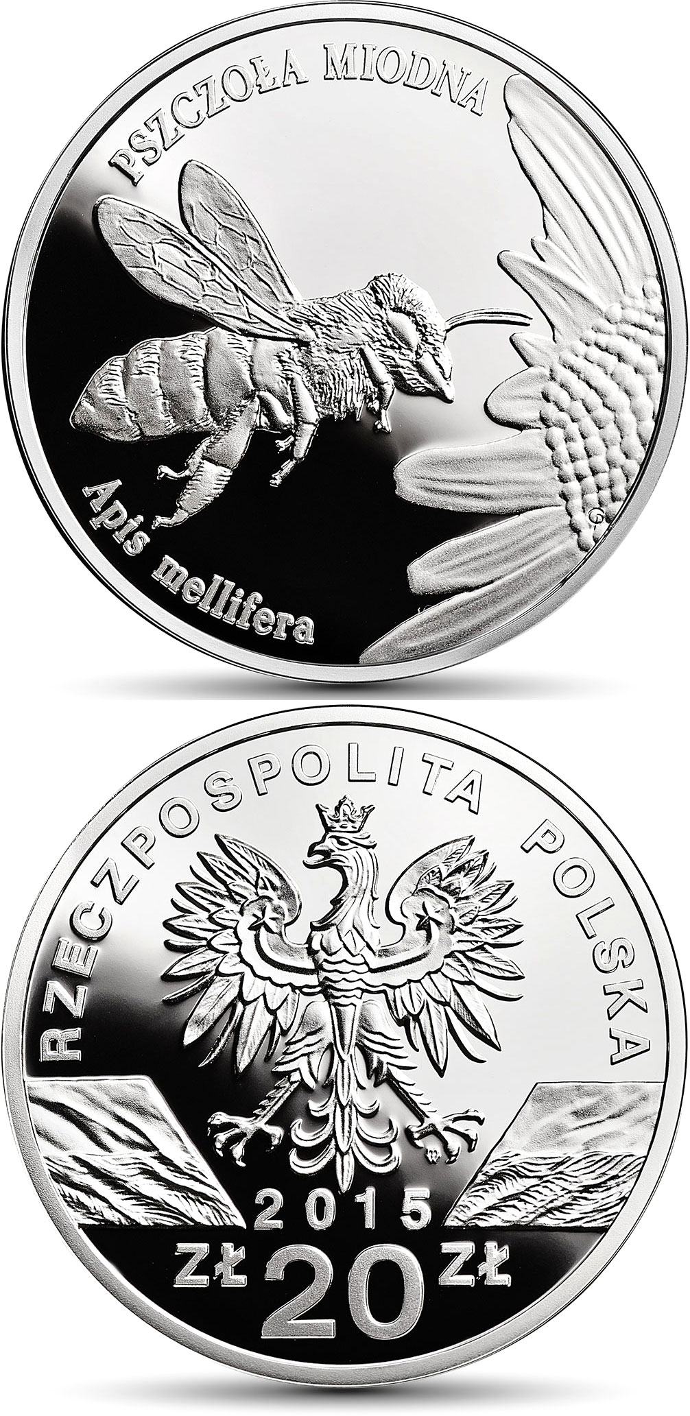 Image of 20 zloty coin - Honeybee | Poland 2015.  The Silver coin is of Proof quality.