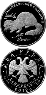 2 ruble coin Mountain weasel | Russia 2012