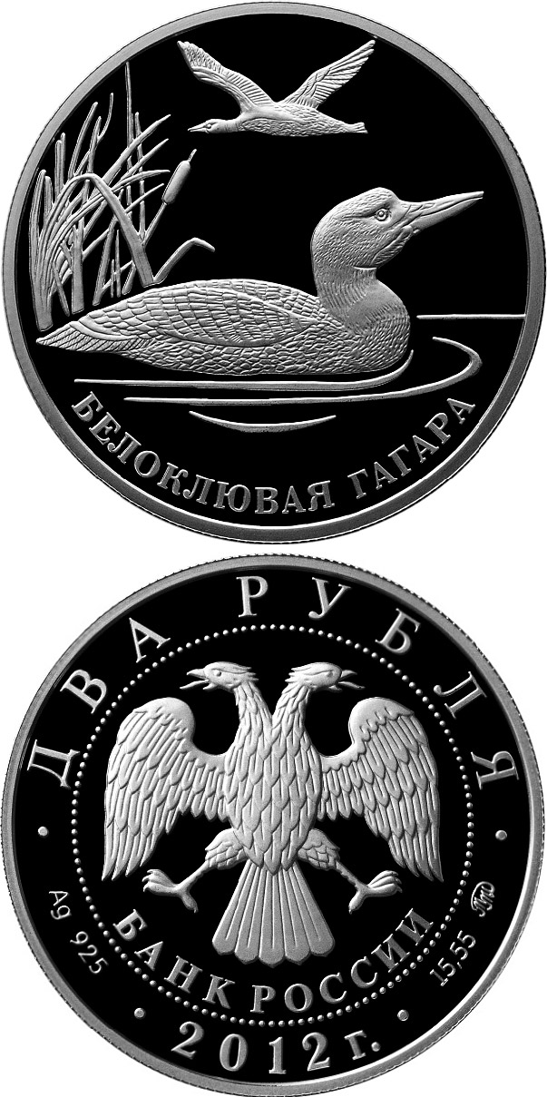 Image of 2 rubles coin - Yellow-billed Loon | Russia 2012.  The Silver coin is of Proof quality.