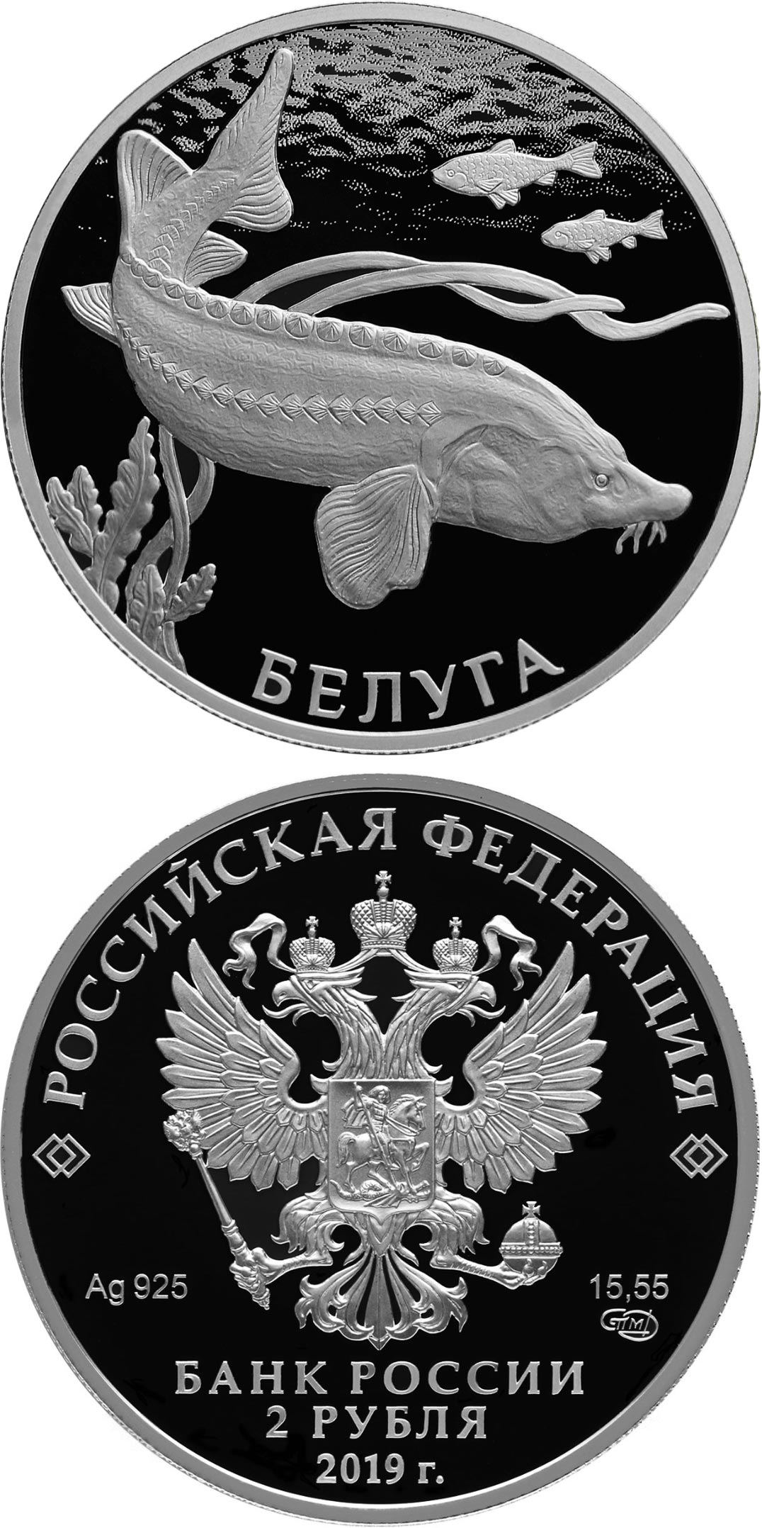 Image of 2 rubles coin - Beluga | Russia 2019.  The Silver coin is of Proof quality.