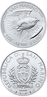 5 euro coin Falco Pellegrino | San Marino 2024