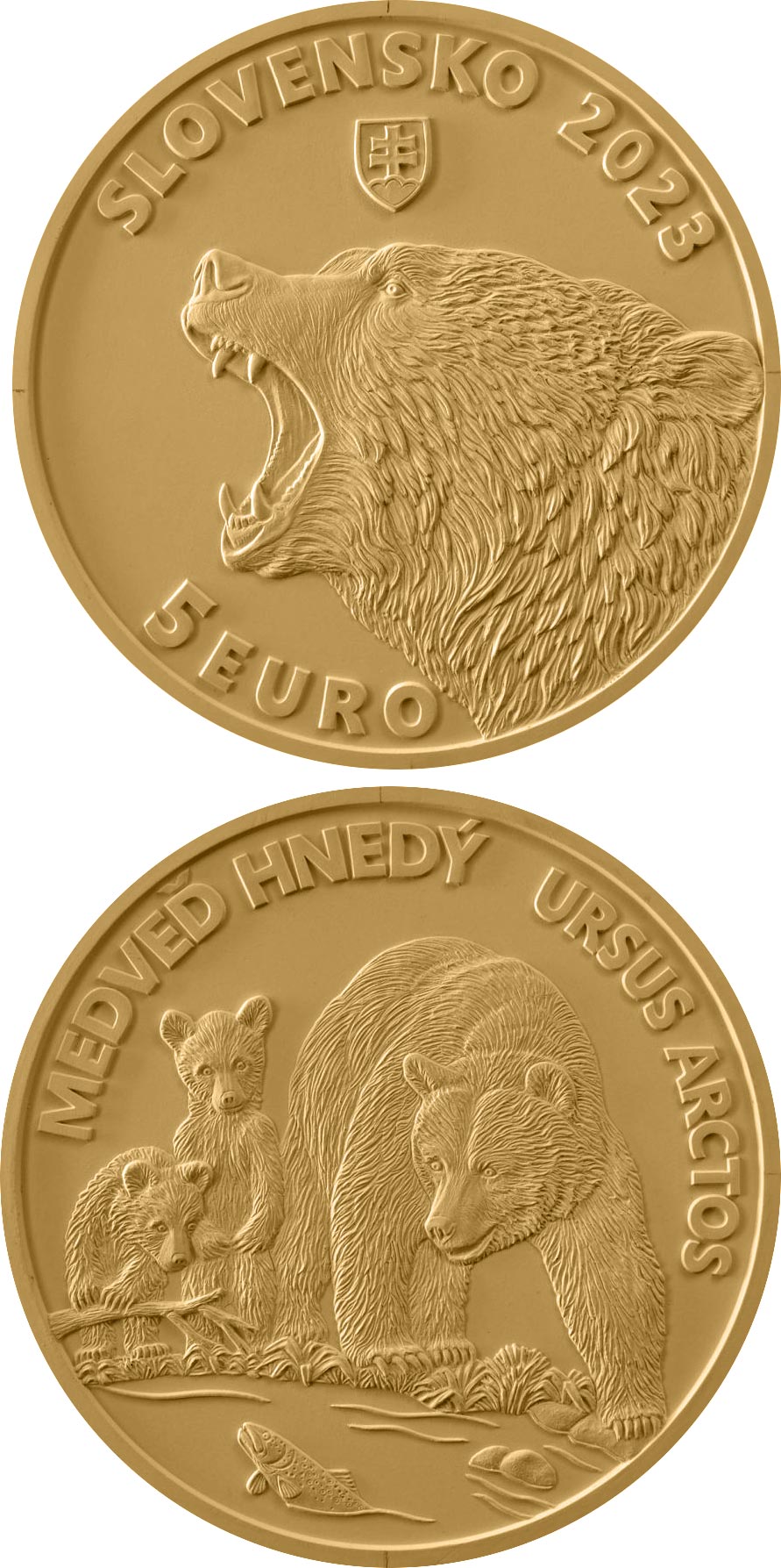 Image of 5 euro coin - Brown bear | Slovakia 2023.  The Brass coin is of UNC quality.
