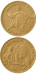 5 euro coin Brown bear | Slovakia 2023