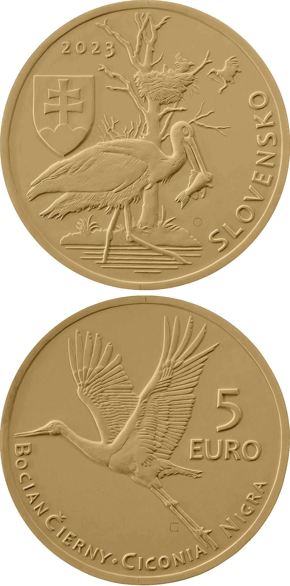 Image of 5 euro coin - Black stork | Slovakia 2023.  The Brass coin is of UNC quality.