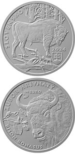 5 euro coin European bison | Slovakia 2024