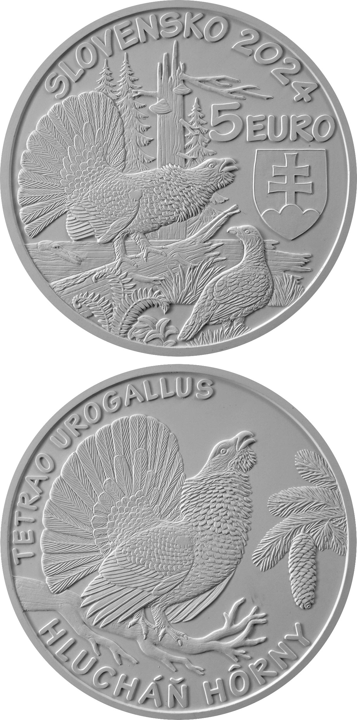 Image of 5 euro coin - Western capercaillie | Slovakia 2024.  The Brass coin is of UNC quality.