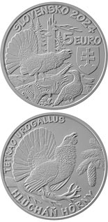 5 euro coin Western capercaillie | Slovakia 2024