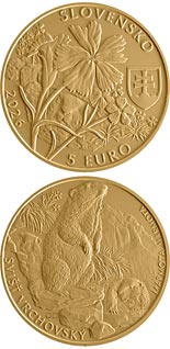 5 euro coin The alpine marmot | Slovakia 2026